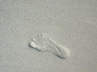 footprint.jpg