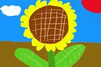 sunflower.jpg